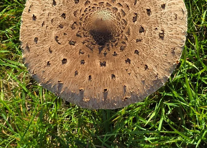 Apartment Exklusive - Direkt Am Waldrand - Grosser Garten Kompett Umzaeunt - Hunde Willkommen - 2 Private Stellplaetze Bad Salzschlirf