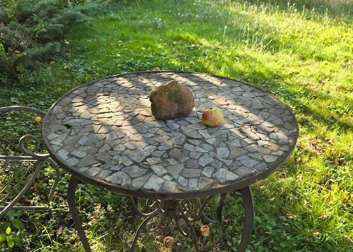 Exklusive - Direkt Am Waldrand - Grosser Garten Kompett Umzaeunt - Hunde Willkommen - 2 Private Stellplaetze Apartment