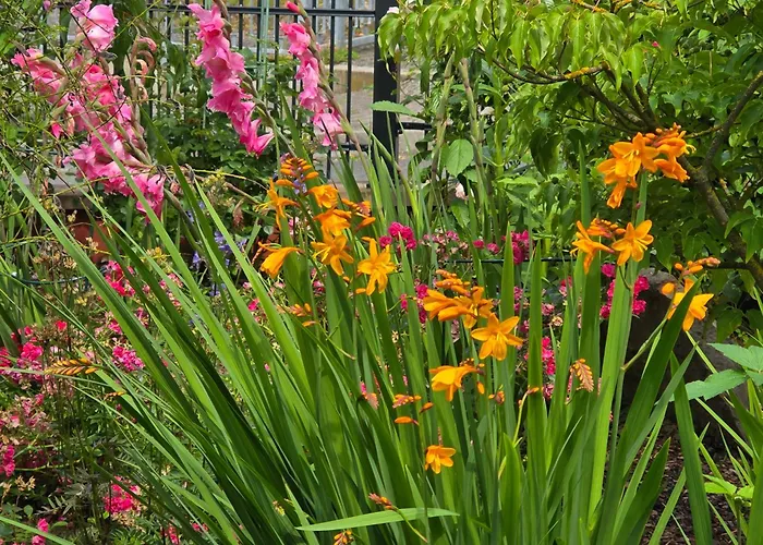 Exklusive - Direkt Am Waldrand - Grosser Garten Kompett Umzaeunt - Hunde Willkommen - 2 Private Stellplaetze Apartment Bad Salzschlirf